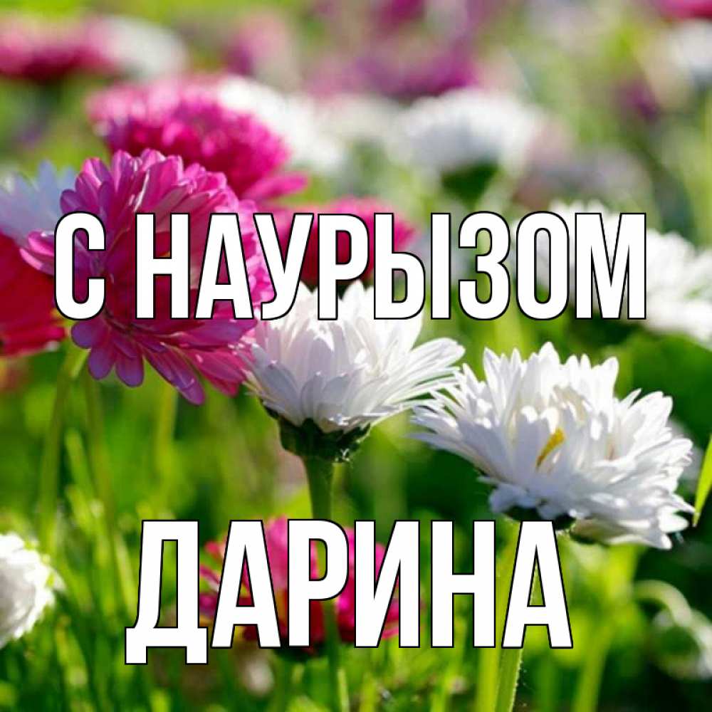 Открытка на каждый день с именем, Дарина С наурызом праздник весны наурыз красота Прикольная открытка с пожеланием онлайн скачать бесплатно 