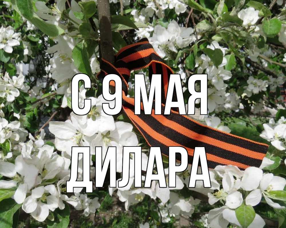 Открытка на каждый день с именем, Дилара С 9 мая 9 мая Прикольная открытка с пожеланием онлайн скачать бесплатно 