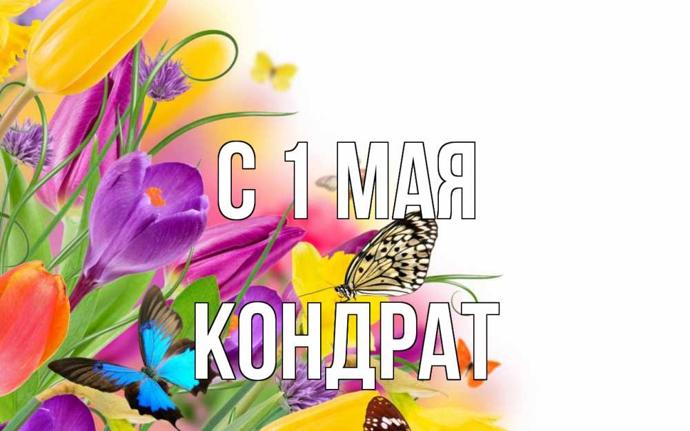 Открытка на каждый день с именем, Кондрат С 1 мая С 1 мая Прикольная открытка с пожеланием онлайн скачать бесплатно 