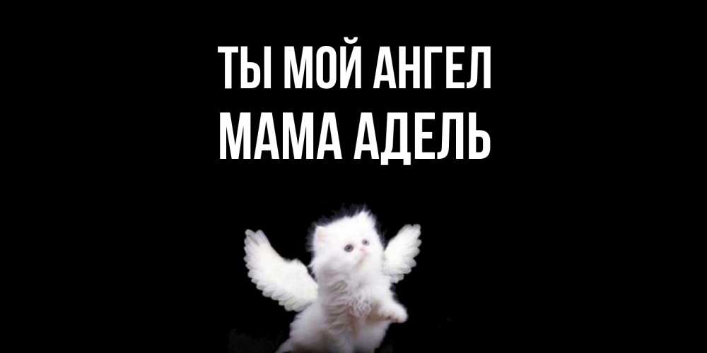 Открытка на каждый день с именем, Мама-Адель Ты мой ангел Кот ангел Прикольная открытка с пожеланием онлайн скачать бесплатно 