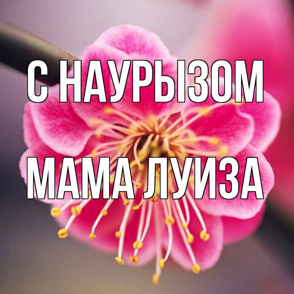 Открытка на каждый день с именем, Мама-Луиза С наурызом цветы Прикольная открытка с пожеланием онлайн скачать бесплатно 