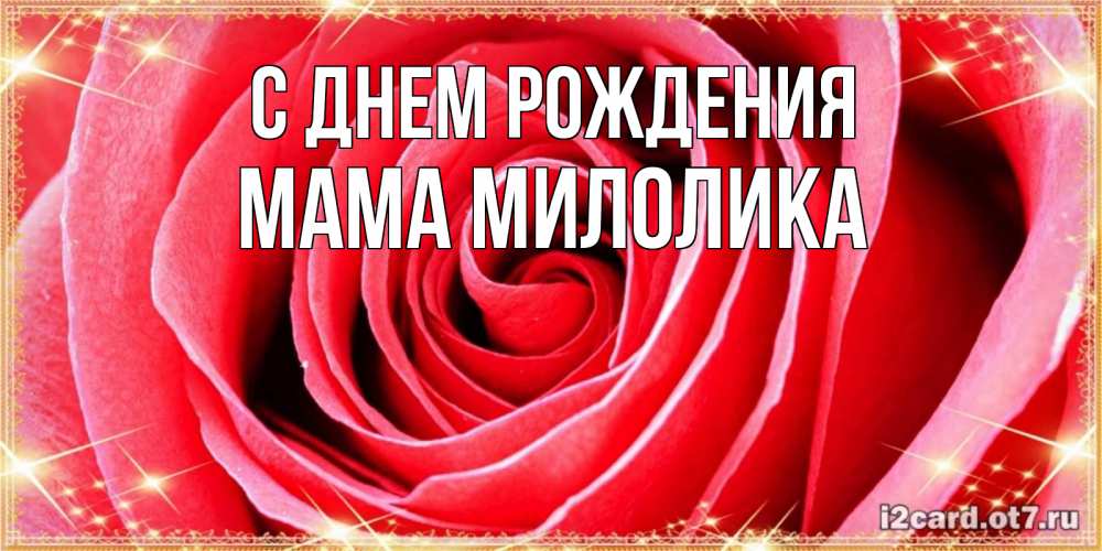 Открытка на каждый день с именем, Мама-Милолика С днем рождения розовая роза очень крупный бутон Прикольная открытка с пожеланием онлайн скачать бесплатно 