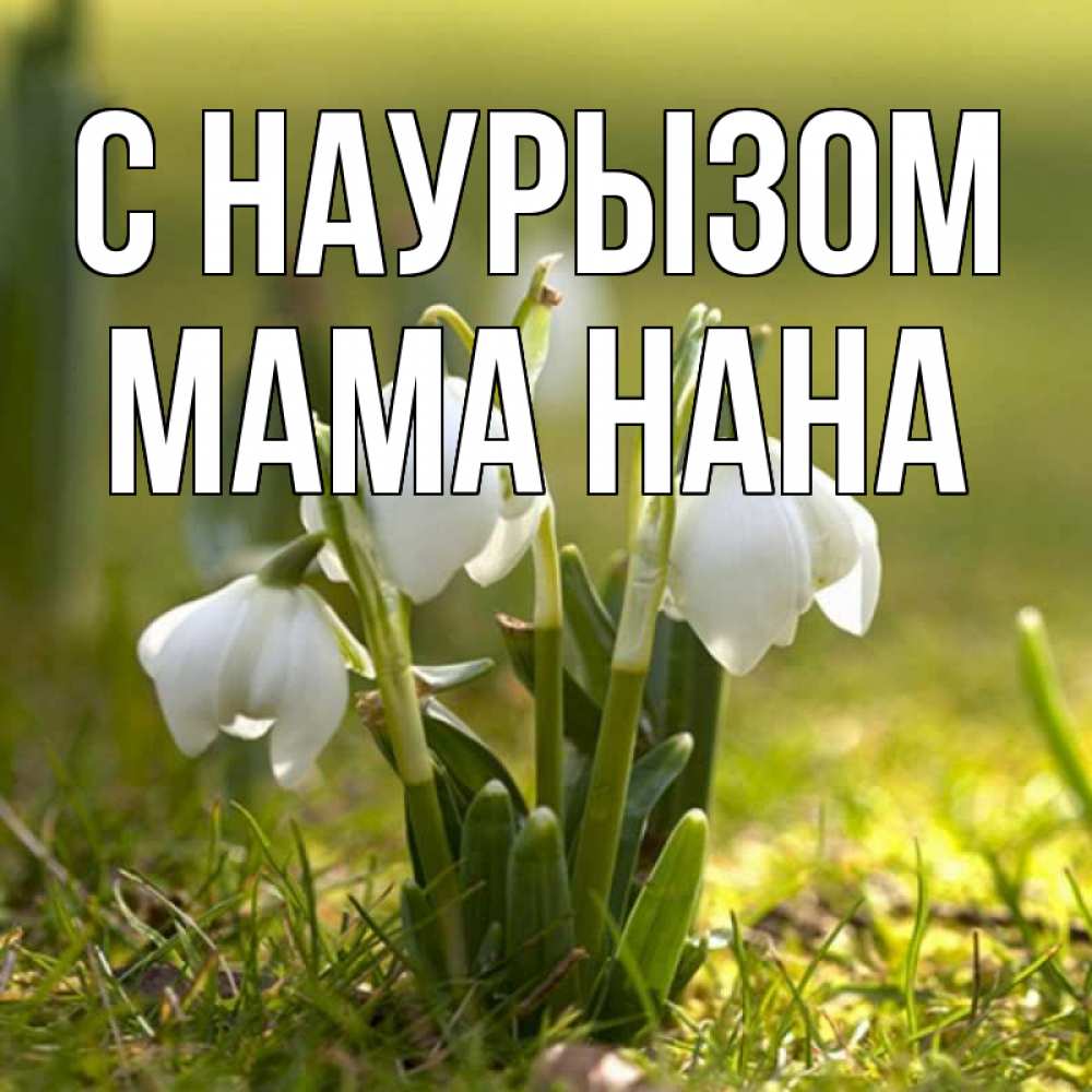 Открытка на каждый день с именем, Мама-Нана С наурызом ранние цветы 2 Прикольная открытка с пожеланием онлайн скачать бесплатно 