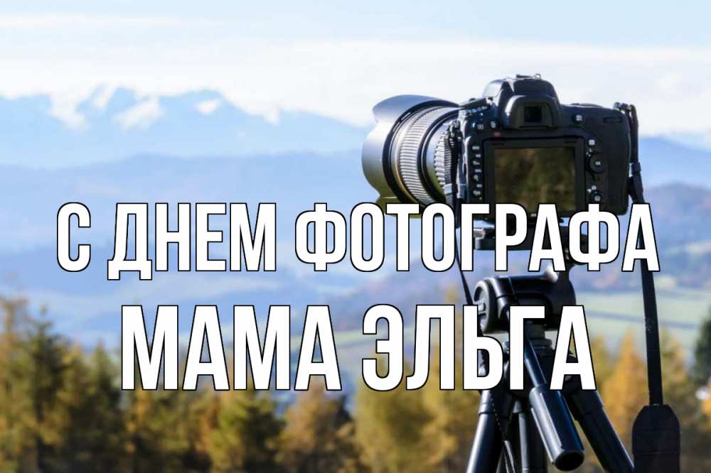 Открытка на каждый день с именем, Мама-Эльга С днем фотографа с днем фотографа Прикольная открытка с пожеланием онлайн скачать бесплатно 