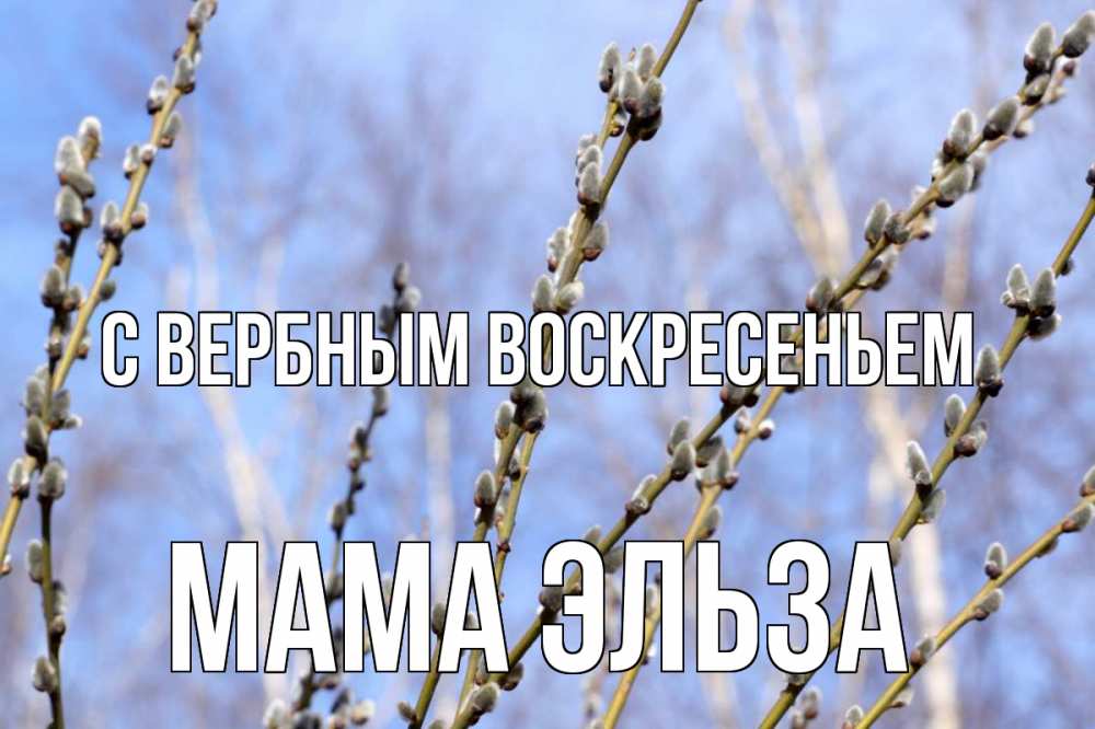 Открытка на каждый день с именем, Мама-Эльза С вербным воскресеньем верба Прикольная открытка с пожеланием онлайн скачать бесплатно 