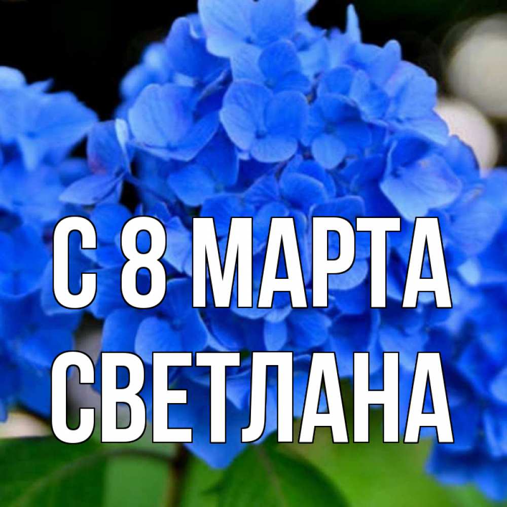 Открытка на каждый день с именем, Светлана С 8 МАРТА синие цветы Прикольная открытка с пожеланием онлайн скачать бесплатно 