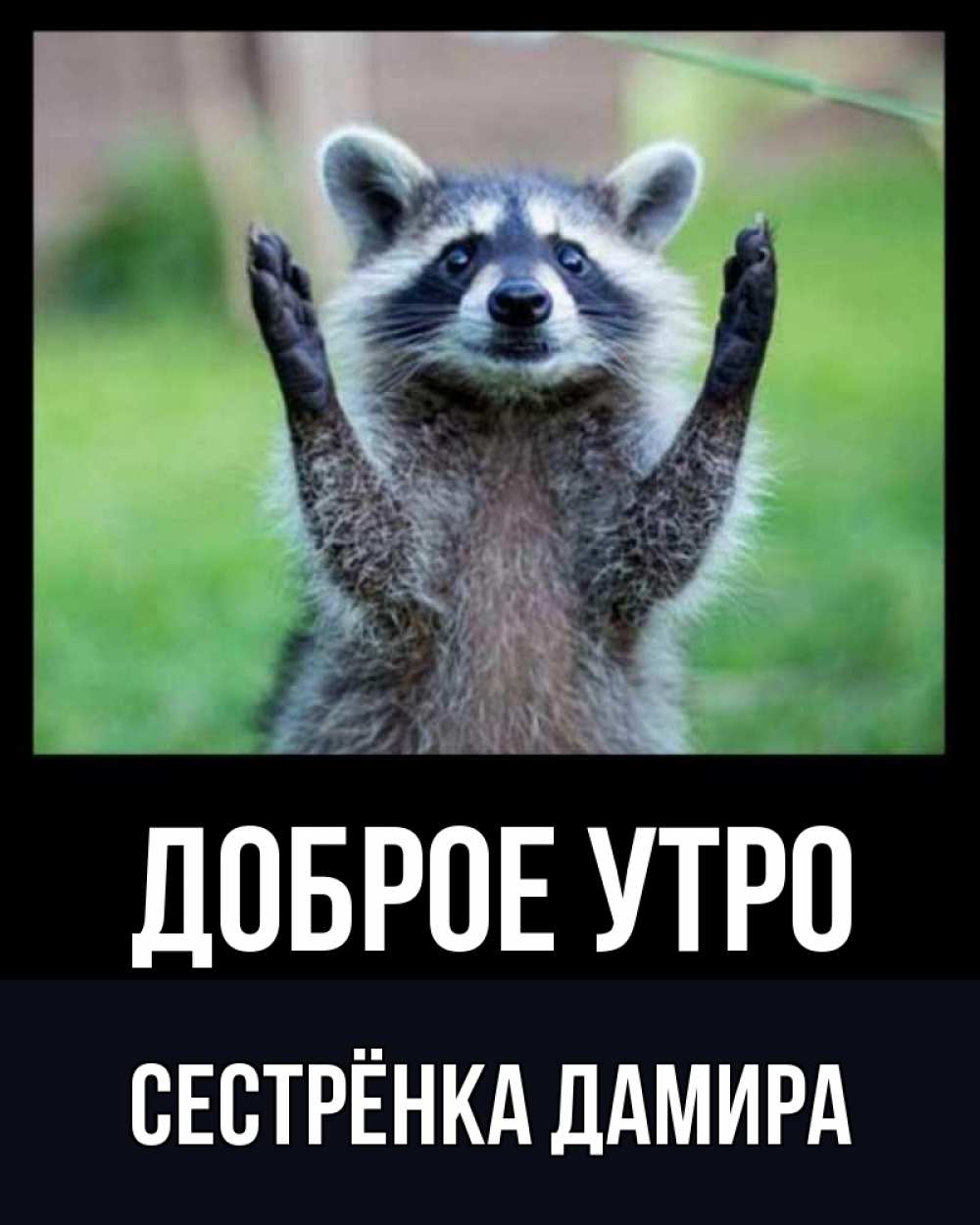 Открытка на каждый день с именем, Сестрёнка-Дамира Доброе утро хорошее настроение утречком Прикольная открытка с пожеланием онлайн скачать бесплатно 