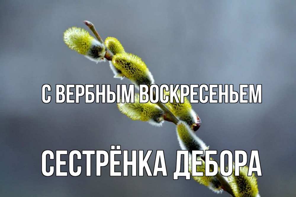 Открытка на каждый день с именем, Сестрёнка-Дебора С вербным воскресеньем верба Прикольная открытка с пожеланием онлайн скачать бесплатно 