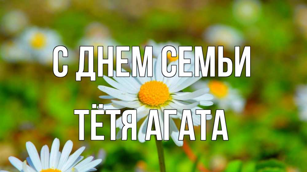 Открытка на каждый день с именем, Тётя-Агата С днем семьи с днем семьи Прикольная открытка с пожеланием онлайн скачать бесплатно 