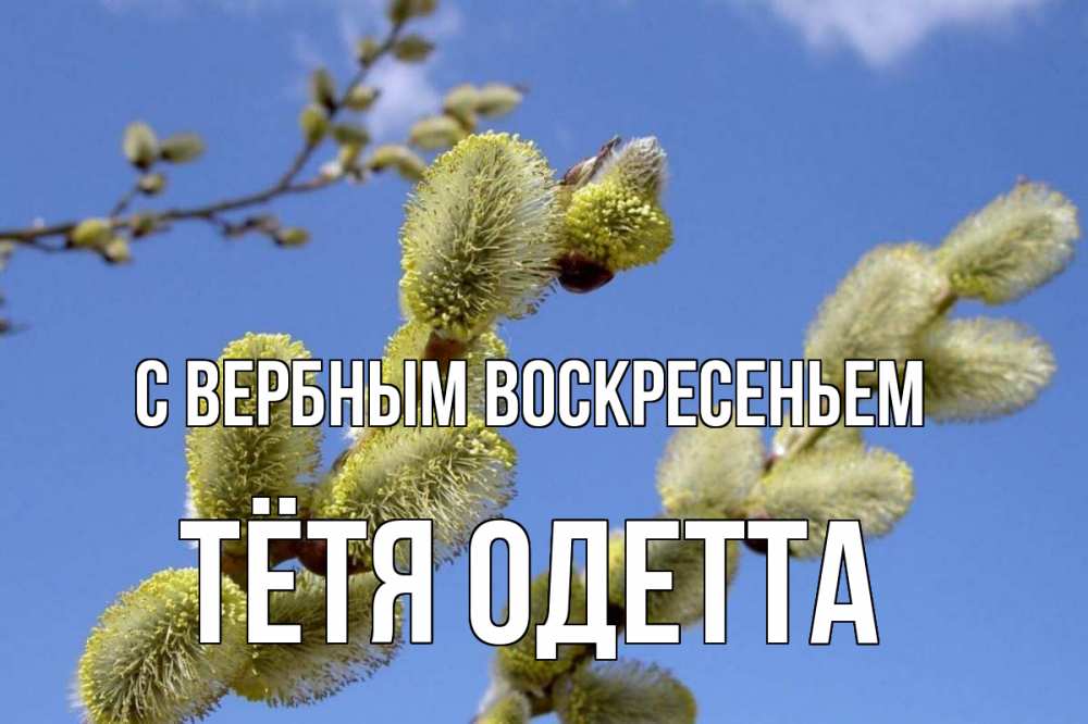 Открытка на каждый день с именем, Тётя-Одетта С вербным воскресеньем верба Прикольная открытка с пожеланием онлайн скачать бесплатно 