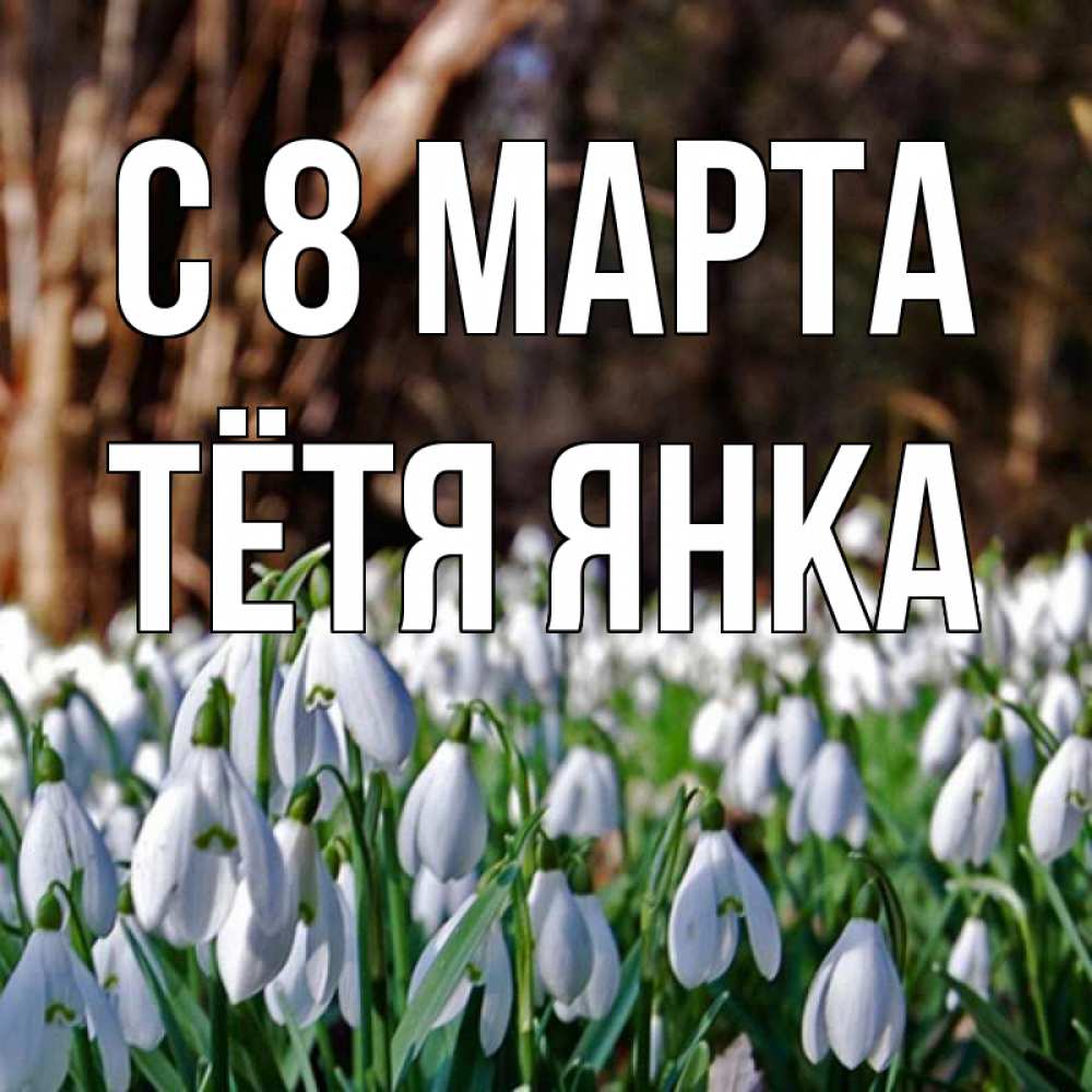 Открытка на каждый день с именем, Тётя-Янка С 8 марта с подснежниками 1 Прикольная открытка с пожеланием онлайн скачать бесплатно 