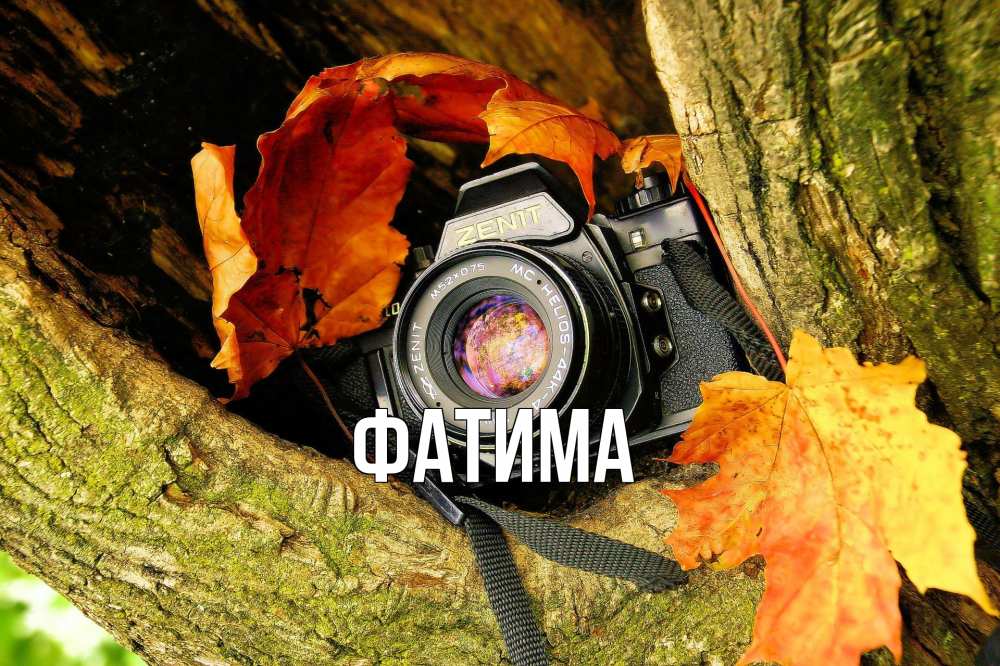 Открытка на каждый день с именем, Фатима Главная с днем фотографа 1 Прикольная открытка с пожеланием онлайн скачать бесплатно 