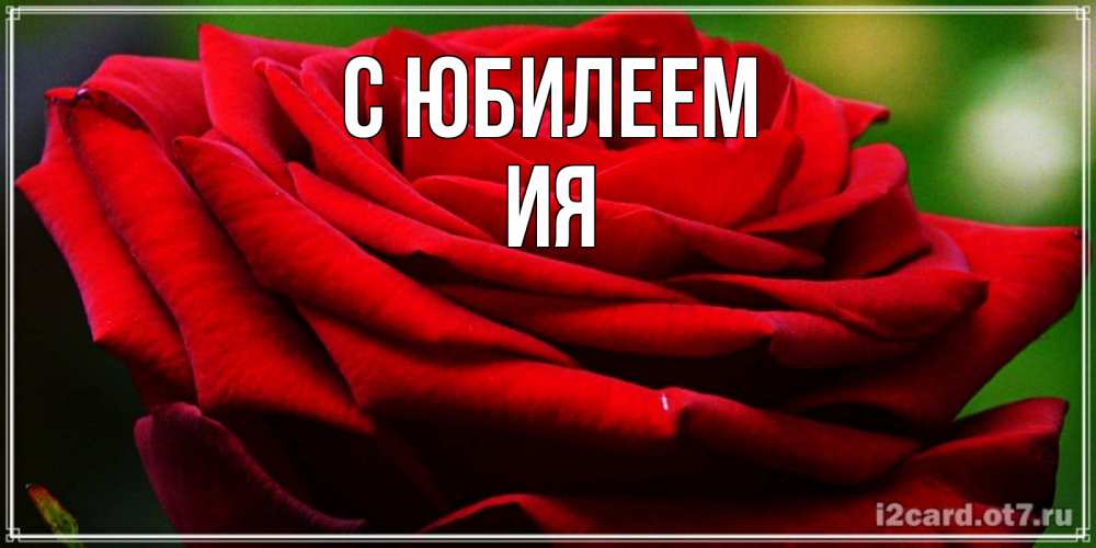 Открытка на каждый день с именем, Ия С юбилеем розочка очень красивая Прикольная открытка с пожеланием онлайн скачать бесплатно 