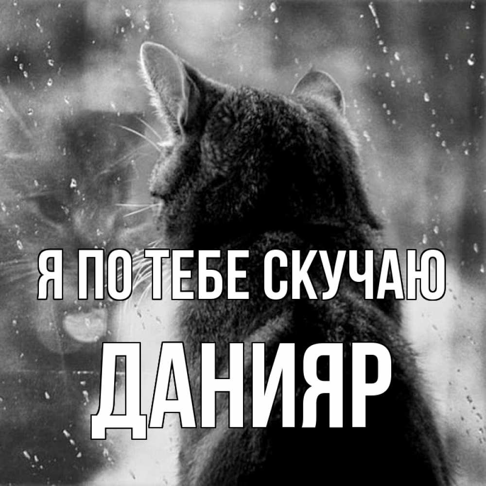 Картинка Я по тебе скучаю, данияр