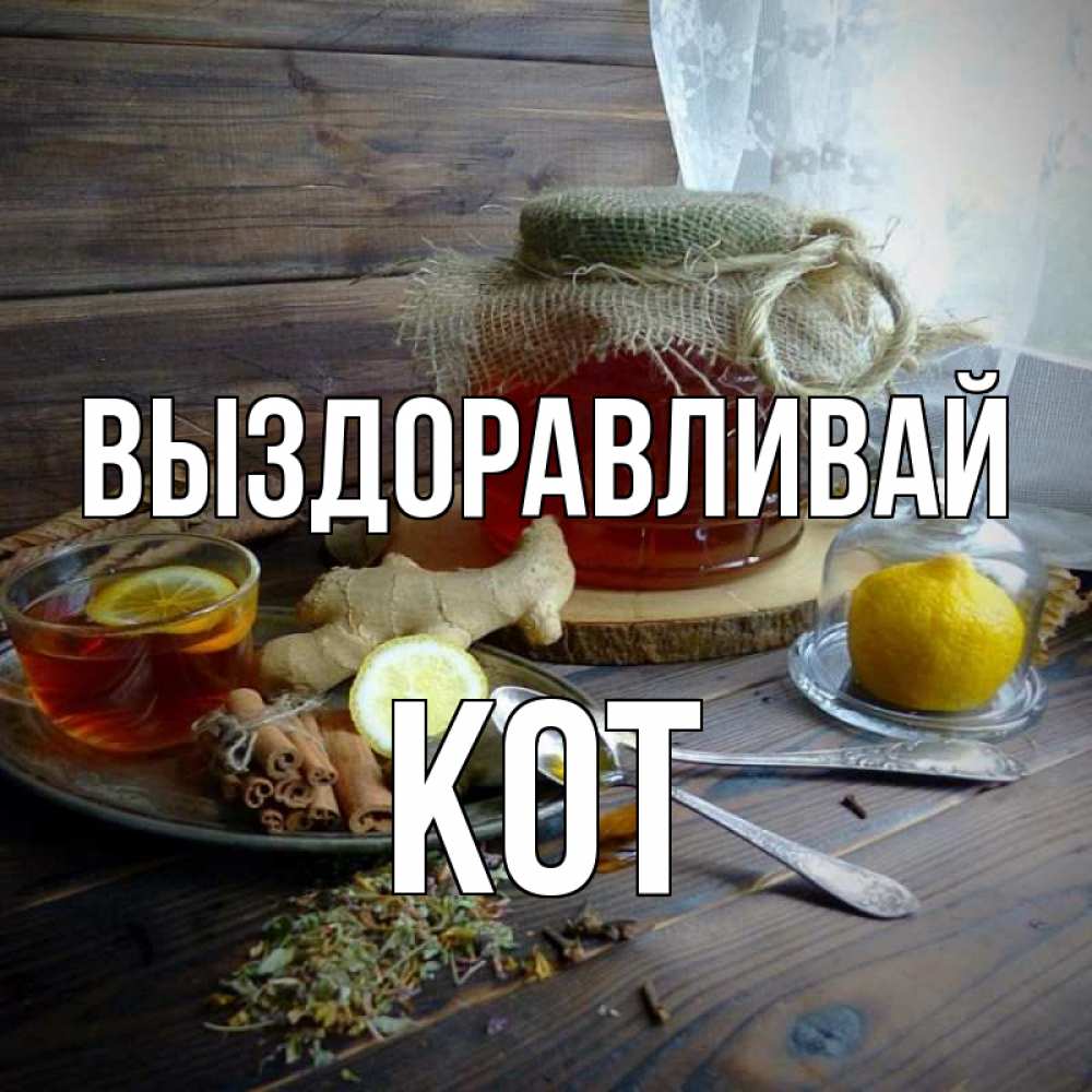 Открытка на каждый день с именем, Кот Выздоравливай банка с медом Прикольная открытка с пожеланием онлайн скачать бесплатно 