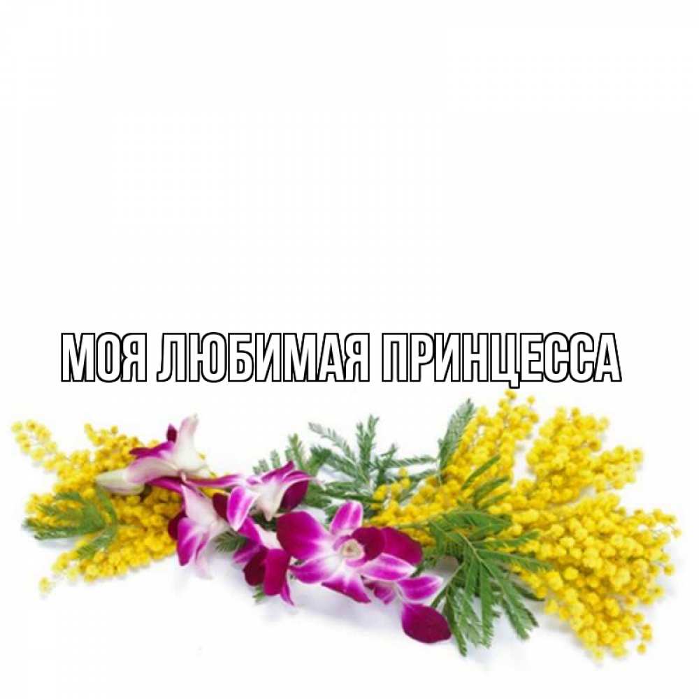 Открытка на каждый день с именем, Моя-Любимая-Принцесса Главная открытка  наурыз с цветами  1 Прикольная открытка с пожеланием онлайн скачать бесплатно 