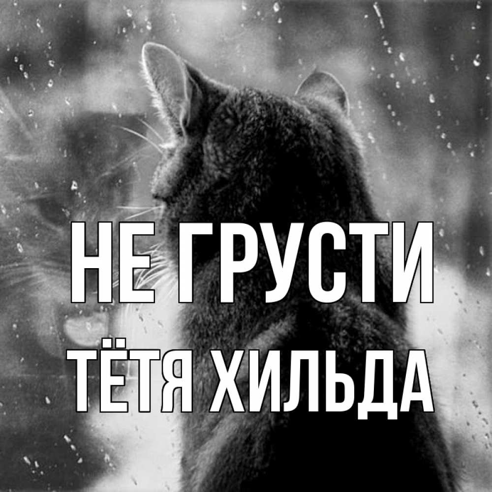 Открытка на каждый день с именем, Тётя-Хильда Не грусти отражение кота 1 Прикольная открытка с пожеланием онлайн скачать бесплатно 