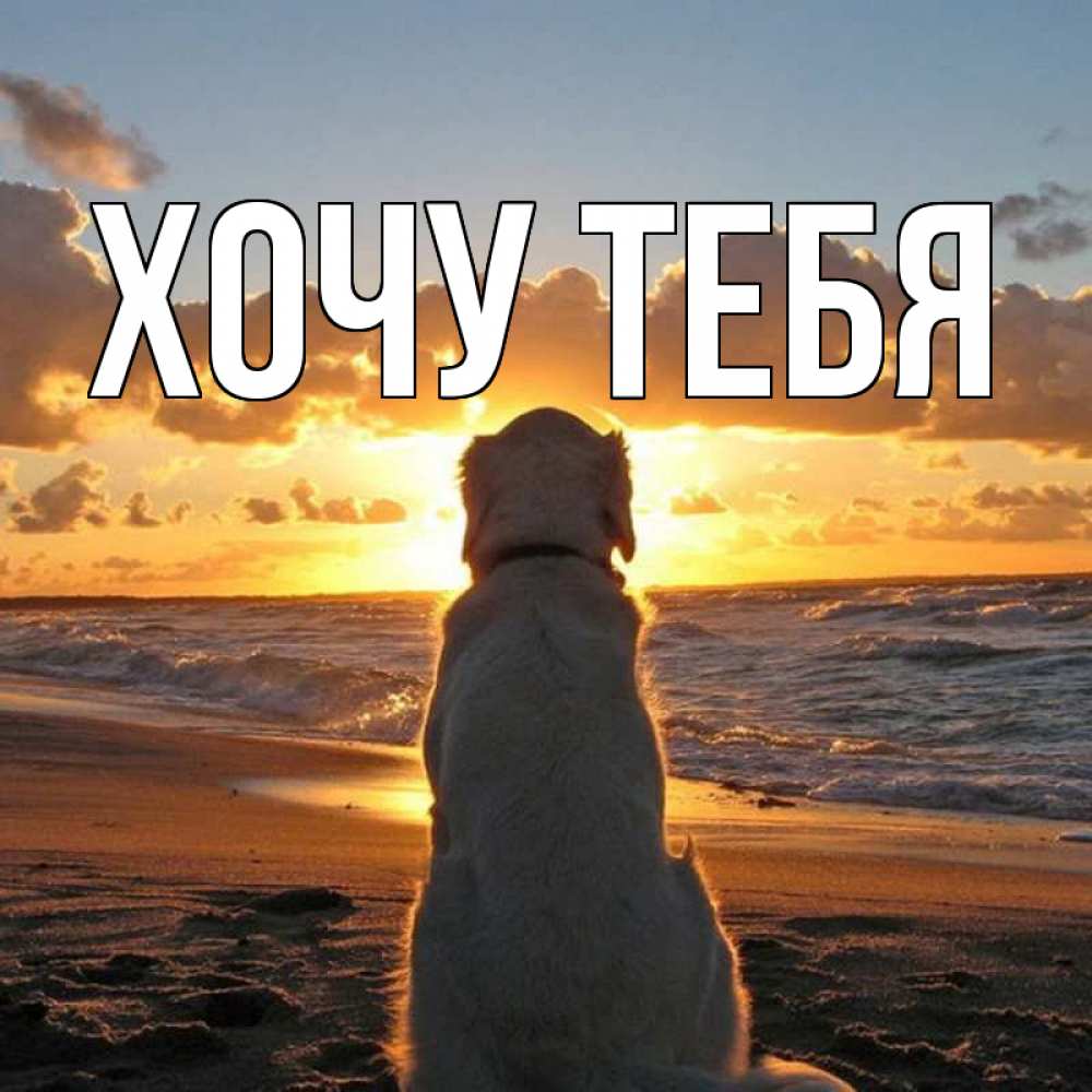 Открытка на каждый день с именем, Хочу-тебя Главная восход солнца Прикольная открытка с пожеланием онлайн скачать бесплатно 