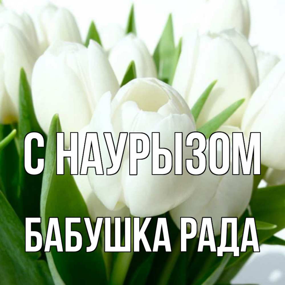 Открытка на каждый день с именем, Бабушка-Рада С наурызом цветы Прикольная открытка с пожеланием онлайн скачать бесплатно 