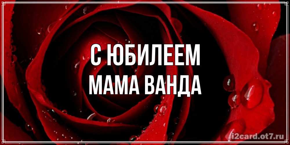 Открытка на каждый день с именем, Мама-Ванда С юбилеем крупная бордовая роза Прикольная открытка с пожеланием онлайн скачать бесплатно 