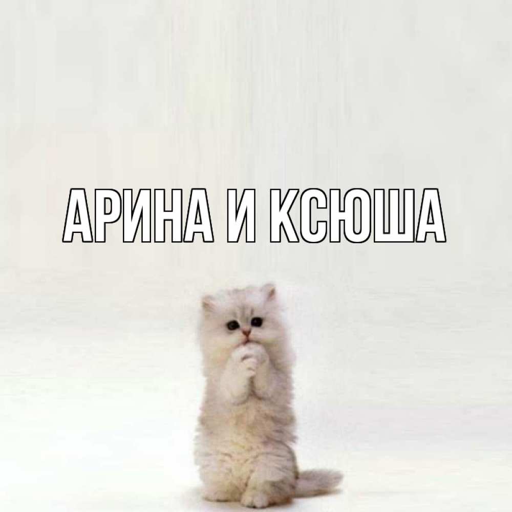 Открытка на каждый день с именем, Арина-и-Ксюша Главная кот стоит на задних лапах Прикольная открытка с пожеланием онлайн скачать бесплатно 