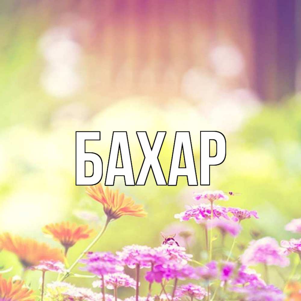 Открытка на каждый день с именем, Бахар Главная цветы весна Прикольная открытка с пожеланием онлайн скачать бесплатно 