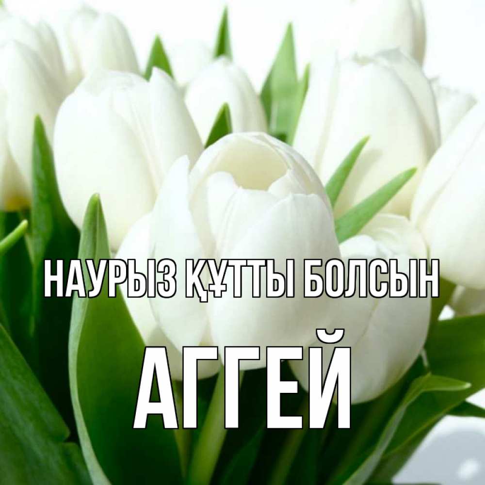 Открытка на каждый день с именем, Аггей Наурыз құтты болсын цветы Прикольная открытка с пожеланием онлайн скачать бесплатно 