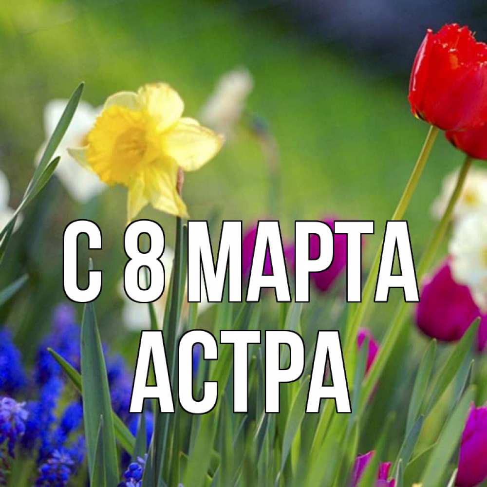 Открытка на каждый день с именем, Астра С 8 МАРТА международный женский день 3 Прикольная открытка с пожеланием онлайн скачать бесплатно 