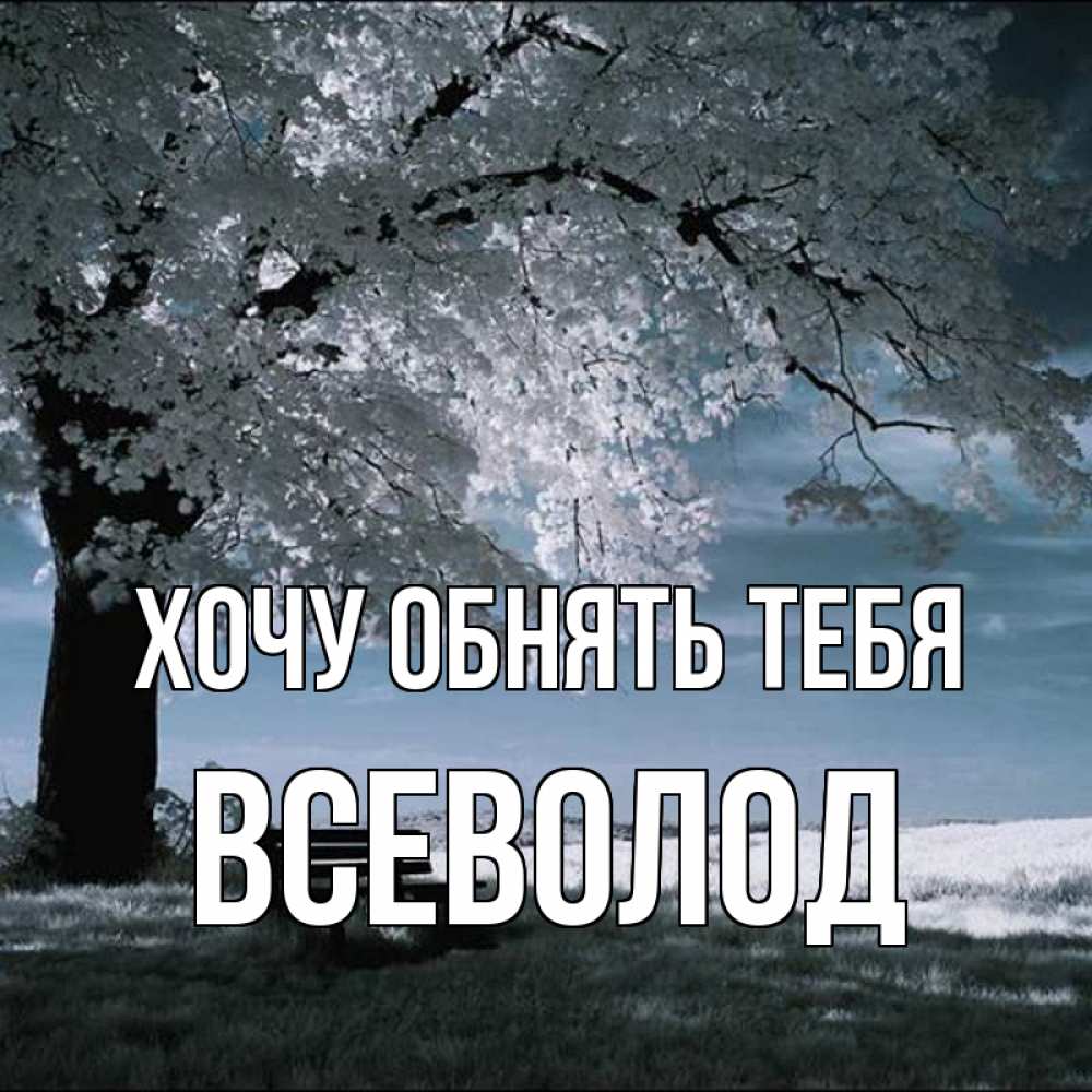 Открытка на каждый день с именем, Всеволод Хочу обнять тебя дерево Прикольная открытка с пожеланием онлайн скачать бесплатно 