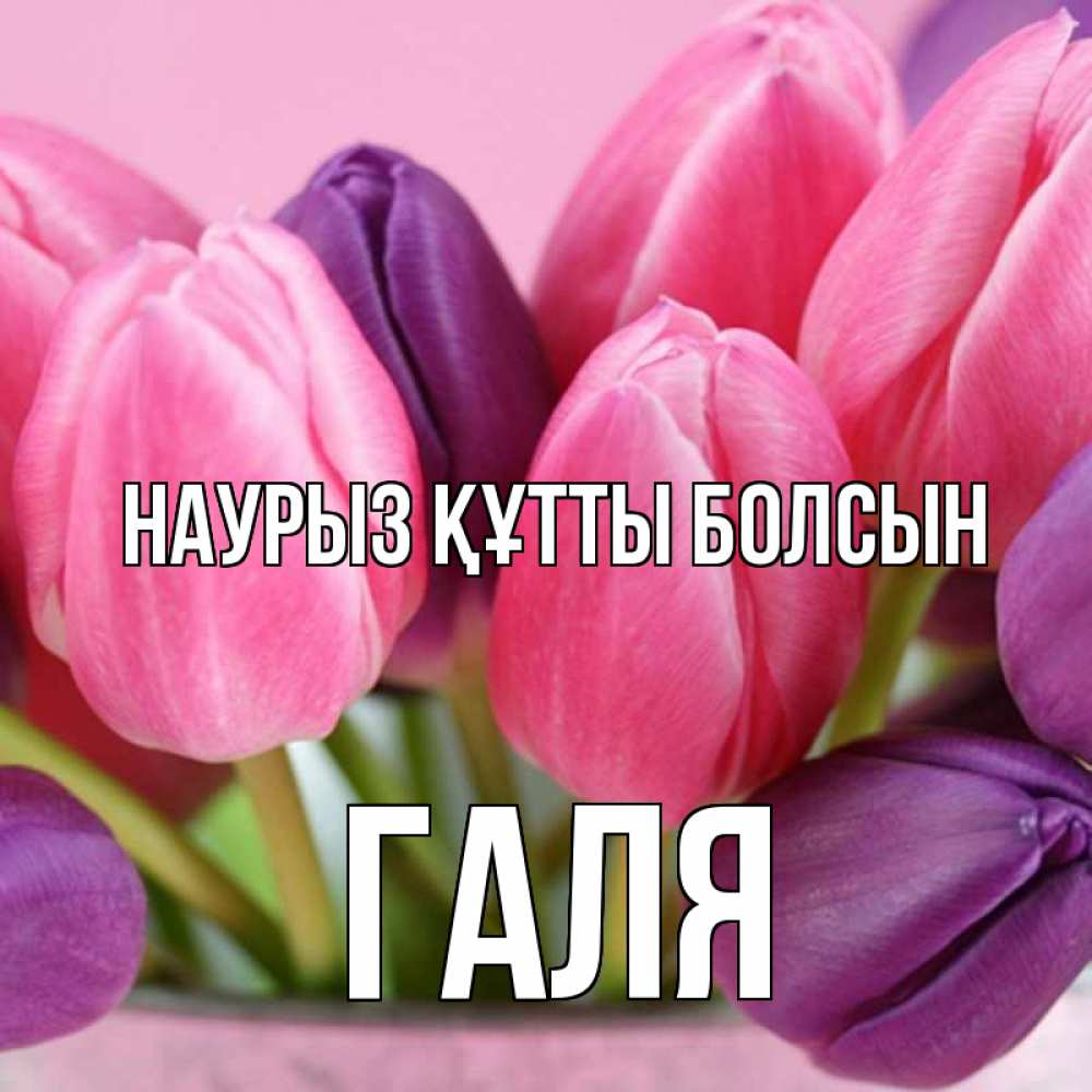 Картинка Наурыз құтты болсын, Галя