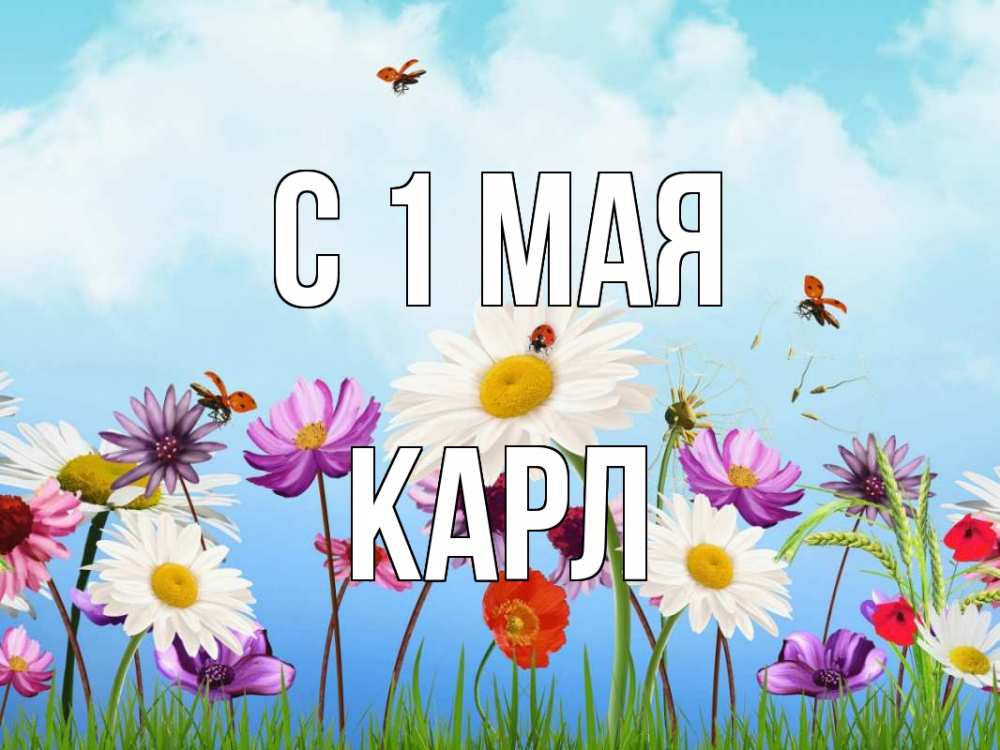 Открытка на каждый день с именем, Карл С 1 мая С 1 мая Прикольная открытка с пожеланием онлайн скачать бесплатно 