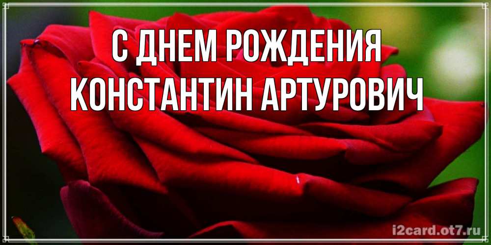 Открытка на каждый день с именем, Константин-Артурович С днем рождения розочка очень красивая Прикольная открытка с пожеланием онлайн скачать бесплатно 