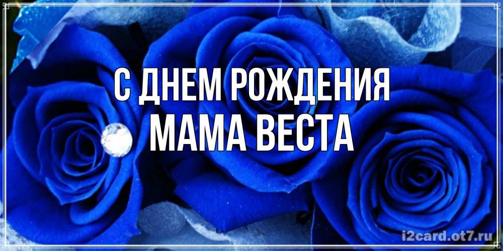 Открытка на каждый день с именем, Мама-Веста С днем рождения синие розы в росе Прикольная открытка с пожеланием онлайн скачать бесплатно 