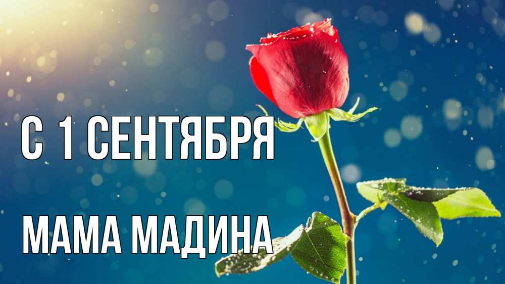 Открытка на каждый день с именем, Мама-Мадина С 1 сентября с днем знаний Прикольная открытка с пожеланием онлайн скачать бесплатно 