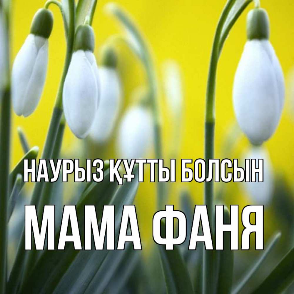 Открытка на каждый день с именем, Мама-Фаня Наурыз құтты болсын весенние цветы Прикольная открытка с пожеланием онлайн скачать бесплатно 