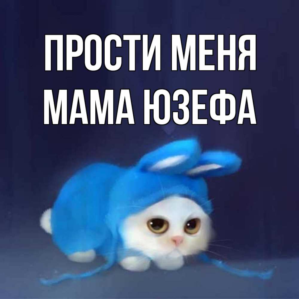 Открытка на каждый день с именем, Мама-Юзефа Прости меня невинный котозай просит прощения Прикольная открытка с пожеланием онлайн скачать бесплатно 