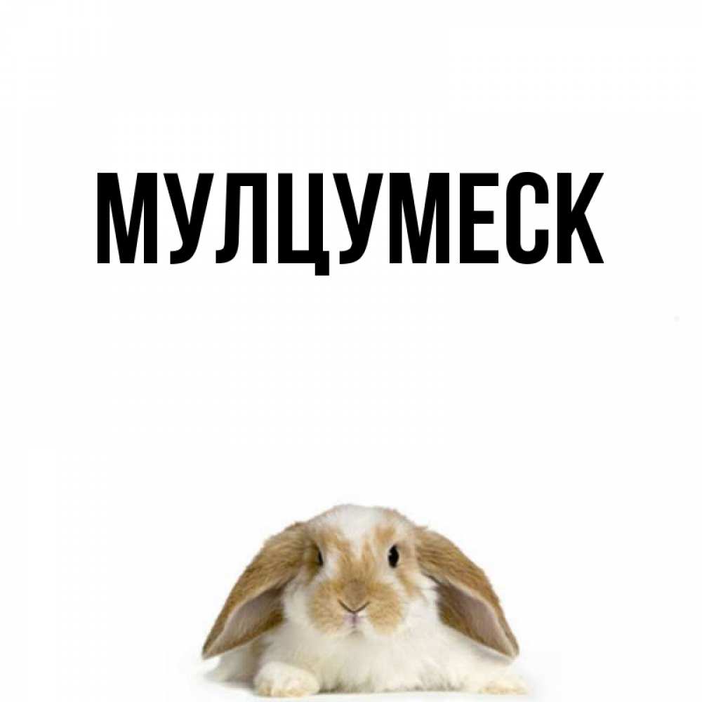 Открытка на каждый день с именем, Мулцумеск Главная открытки с произвольным текстом который можно вставить в открытку и создать ее самостоятельно бесплатно онлайн Прикольная открытка с пожеланием онлайн скачать бесплатно 