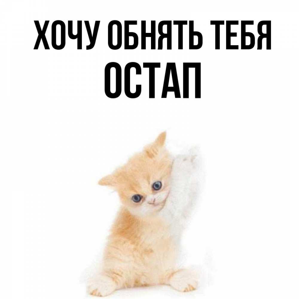Открытка на каждый день с именем, Остап Хочу обнять тебя я хочу очень скорее обнимаешек Прикольная открытка с пожеланием онлайн скачать бесплатно 