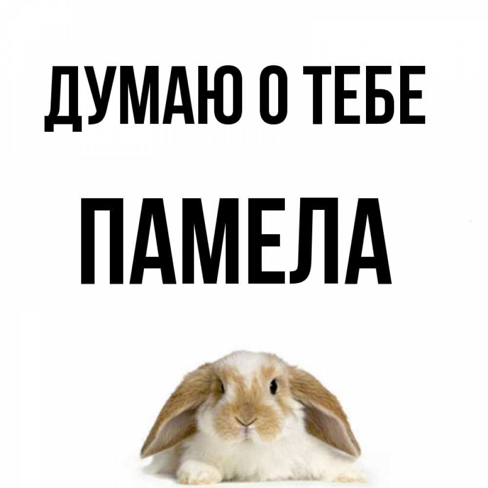 Открытка на каждый день с именем, Памела Думаю о тебе подписать своими руками онлайн Прикольная открытка с пожеланием онлайн скачать бесплатно 