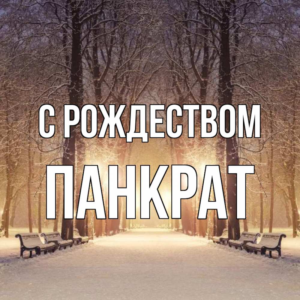Открытка на каждый день с именем, Панкрат С рождеством зима, парк, фонарь, лес Прикольная открытка с пожеланием онлайн скачать бесплатно 