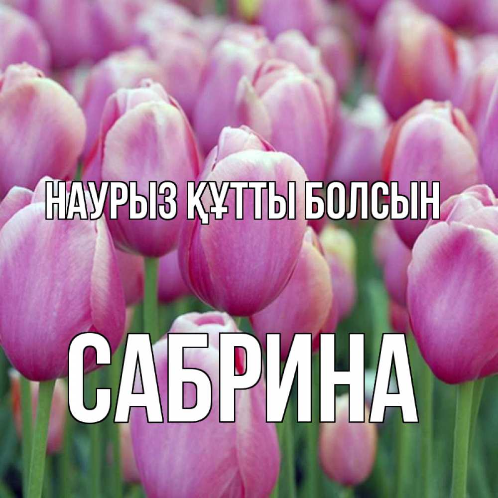 Открытка на каждый день с именем, Сабрина Наурыз құтты болсын на наурыз  день 3 Прикольная открытка с пожеланием онлайн скачать бесплатно 