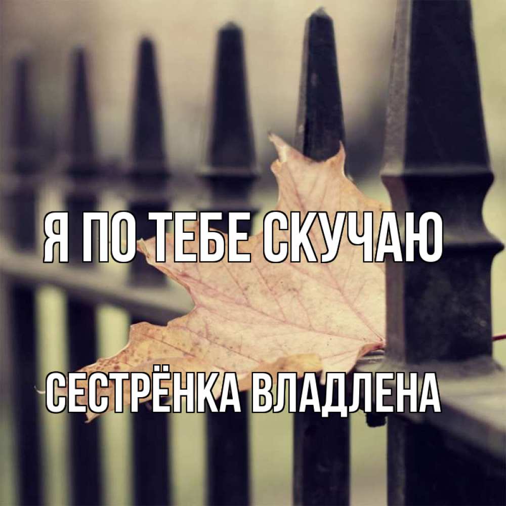 Открытка на каждый день с именем, Сестрёнка-Владлена Я по тебе скучаю очень скучно Прикольная открытка с пожеланием онлайн скачать бесплатно 