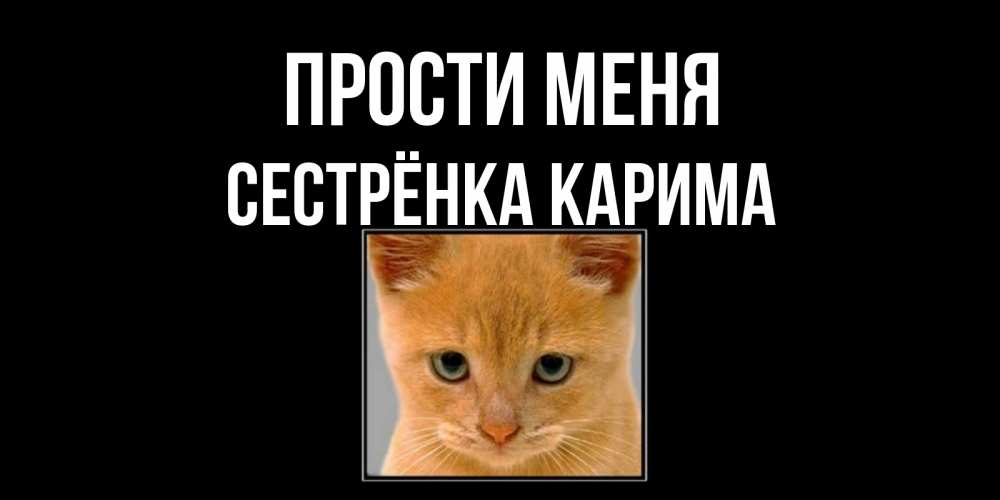 Открытка на каждый день с именем, Сестрёнка-Карима Прости меня рыжий грустный кот просит прощения Прикольная открытка с пожеланием онлайн скачать бесплатно 