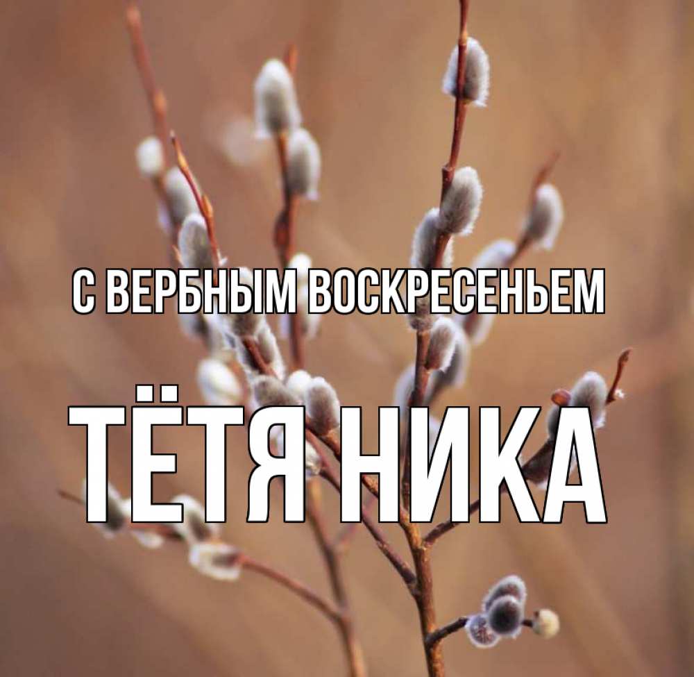 Открытка на каждый день с именем, Тётя-Ника С вербным воскресеньем верба Прикольная открытка с пожеланием онлайн скачать бесплатно 