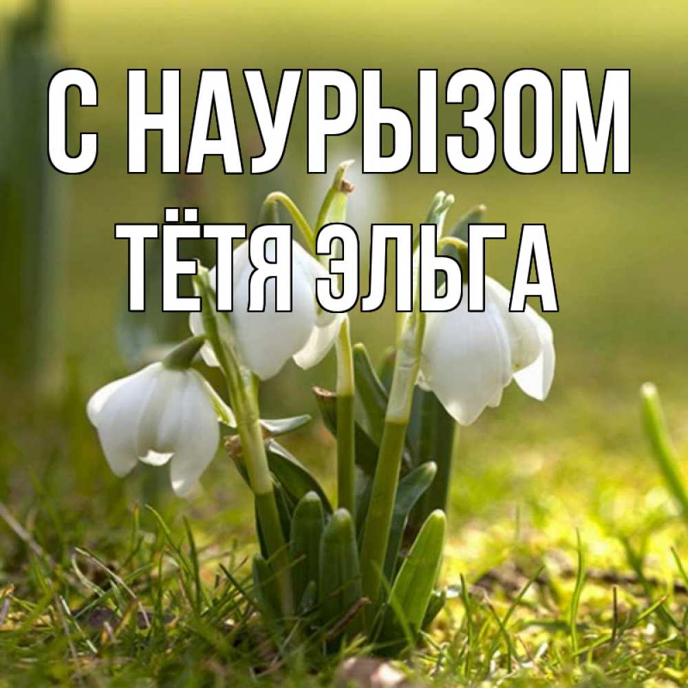 Открытка на каждый день с именем, Тётя-Эльга С наурызом ранние цветы 2 Прикольная открытка с пожеланием онлайн скачать бесплатно 