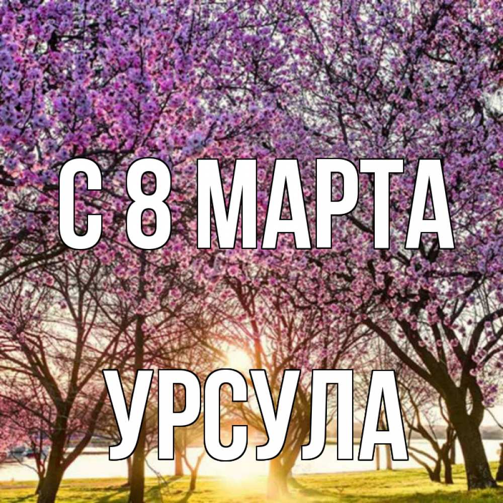 Открытка на каждый день с именем, Урсула С 8 МАРТА международный женский день Прикольная открытка с пожеланием онлайн скачать бесплатно 