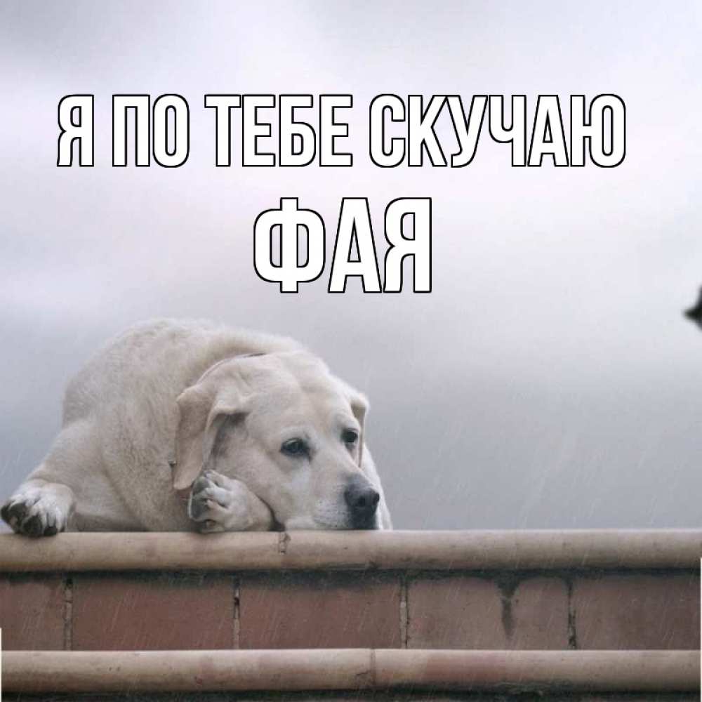 Открытка на каждый день с именем, Фая Я по тебе скучаю ждет Прикольная открытка с пожеланием онлайн скачать бесплатно 