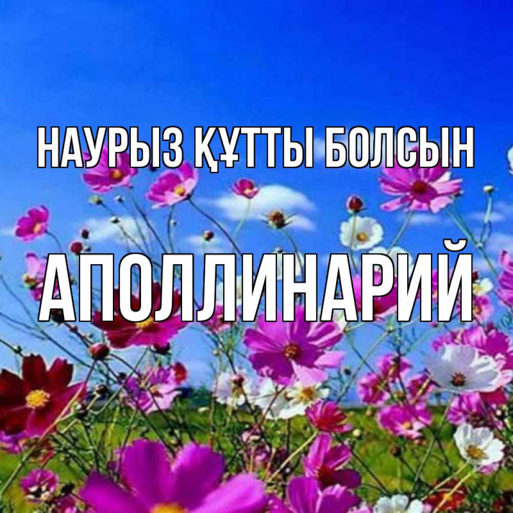 Открытка на каждый день с именем, Аполлинарий Наурыз құтты болсын цветы Прикольная открытка с пожеланием онлайн скачать бесплатно 
