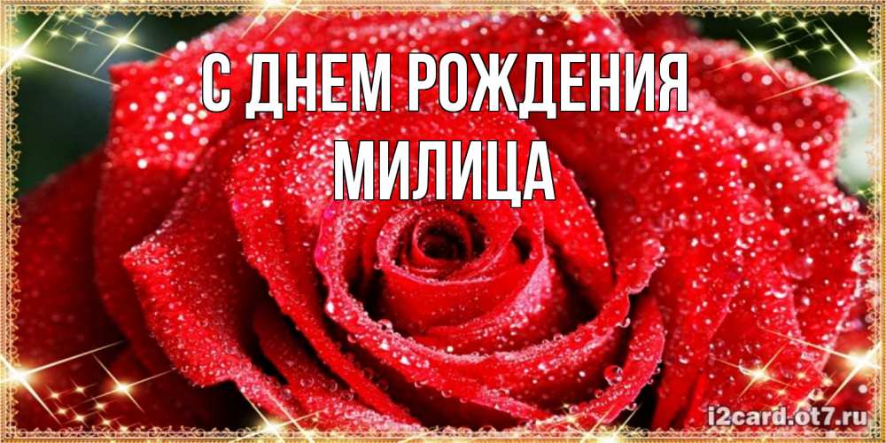 Открытка на каждый день с именем, Милица С днем рождения роса и роза. открытка с красивой розой Прикольная открытка с пожеланием онлайн скачать бесплатно 