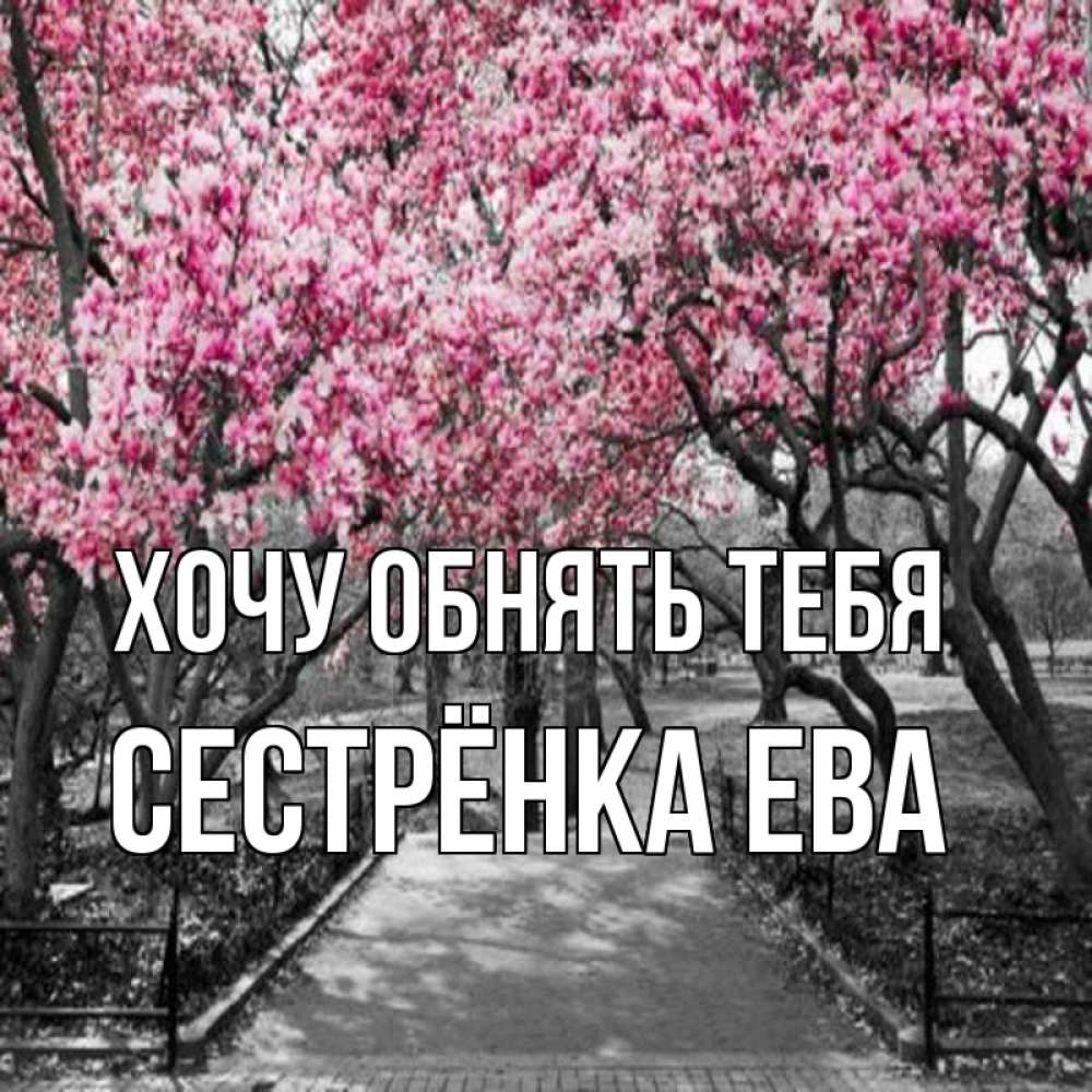 Открытка на каждый день с именем, Сестрёнка-Ева Хочу обнять тебя обработанное фото Прикольная открытка с пожеланием онлайн скачать бесплатно 